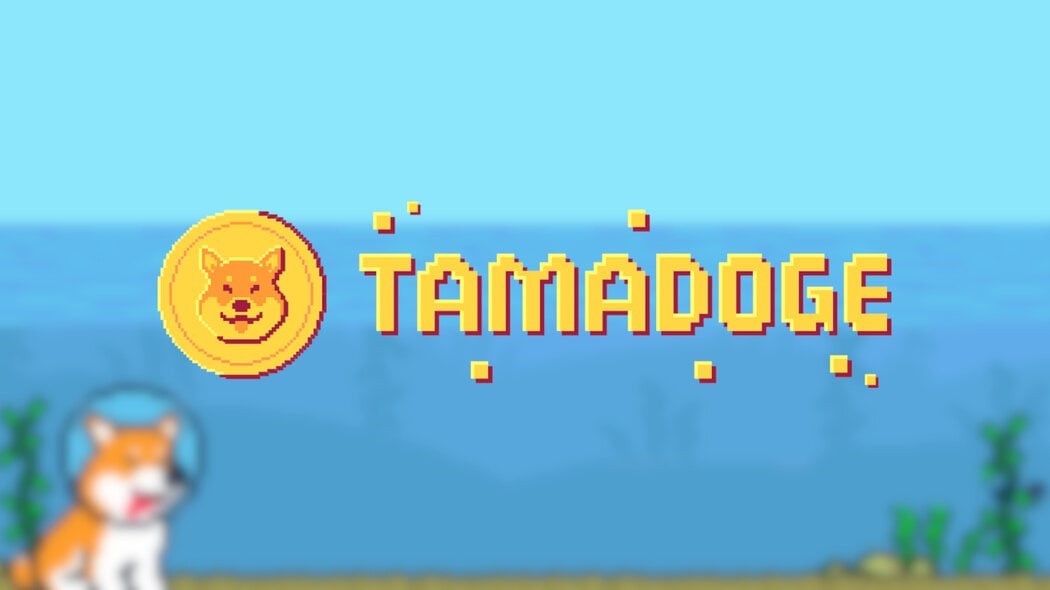 На платформе дополненной реальности Tamadoge можно выращивать разных собак