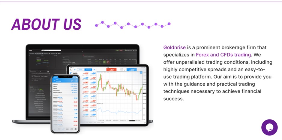 Goldnrise торговая платформа